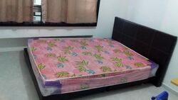 Blk 309 Tampines Street 32 (Tampines), HDB 5 Rooms #557242611